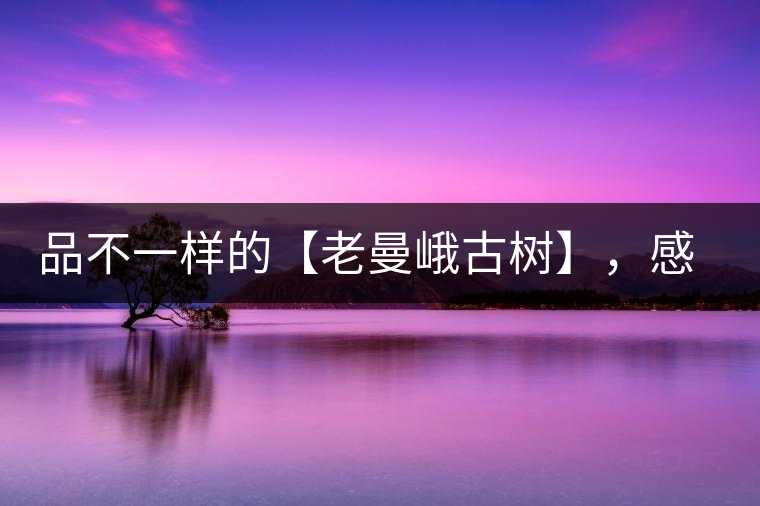 品不一樣的【老曼峨古樹】，感受別樣甘甜與溫婉
