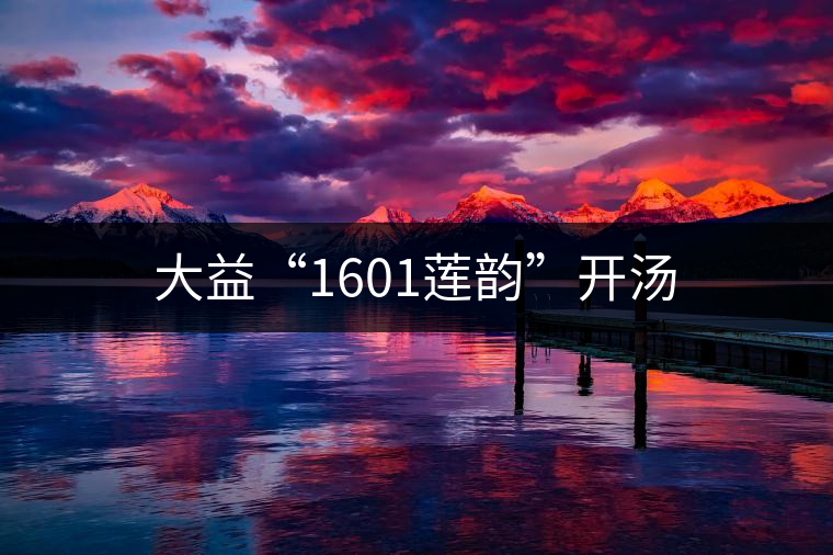 大益“1601蓮韻”開湯