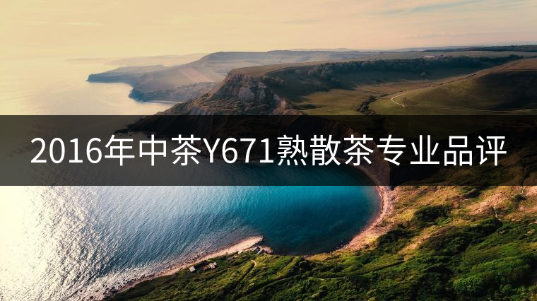 2016年中茶Y671熟散茶專業品評