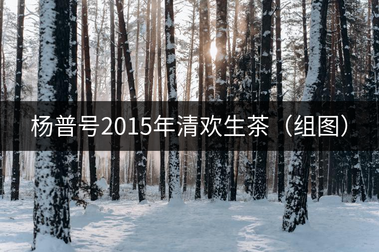 楊普號2015年清歡生茶(組圖) 楊普號2015年清歡生茶(組圖)