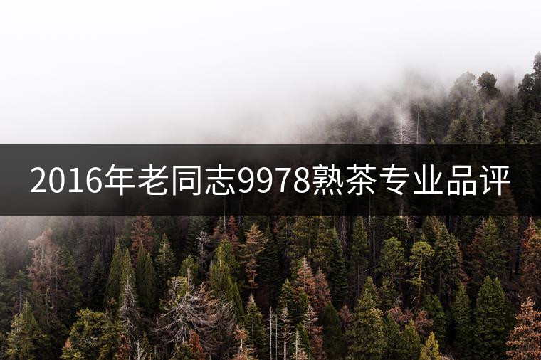 2016年老同志9978熟茶專業品評 2016年老同志9978熟茶專業品評
