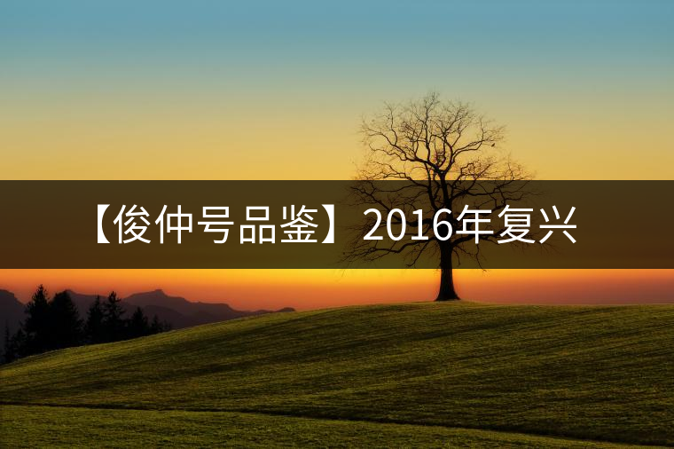 【俊仲號品鑒】2016年復興