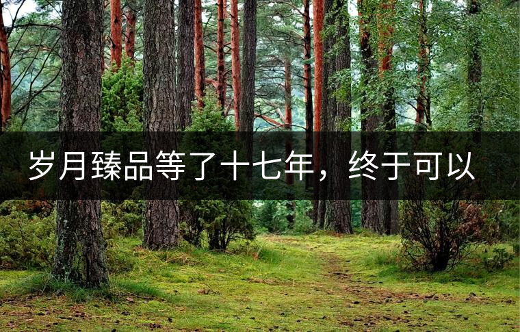 歲月臻品等了十七年，終于可以品味歲月