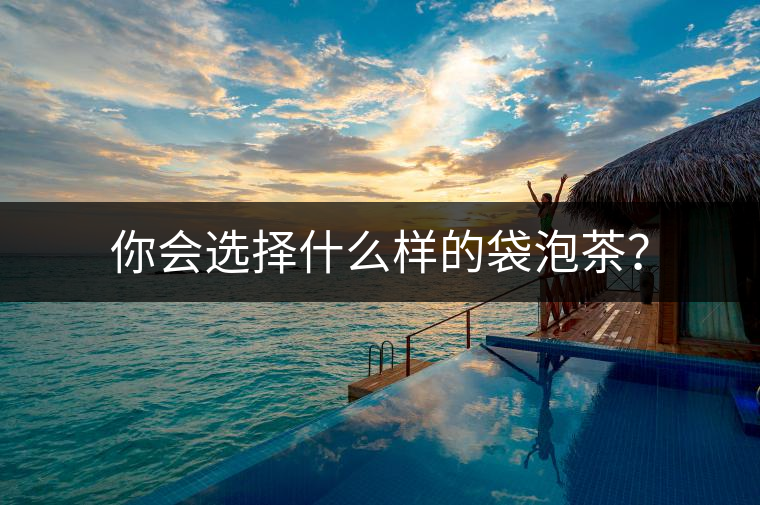 你會選擇什么樣的袋泡茶? 你會選擇什么樣的袋泡茶?