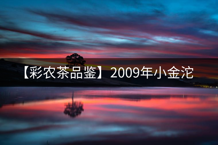 【彩農茶品鑒】2009年小金沱 【彩農茶品鑒】2009年小金沱