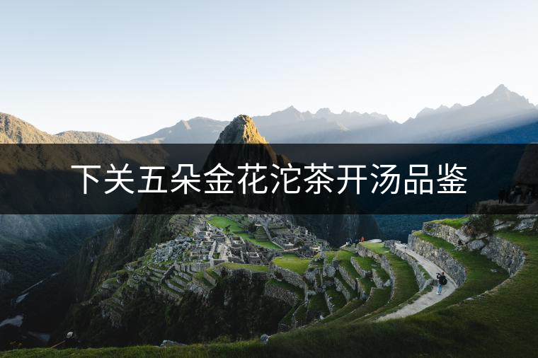 下關五朵金花沱茶開湯品鑒