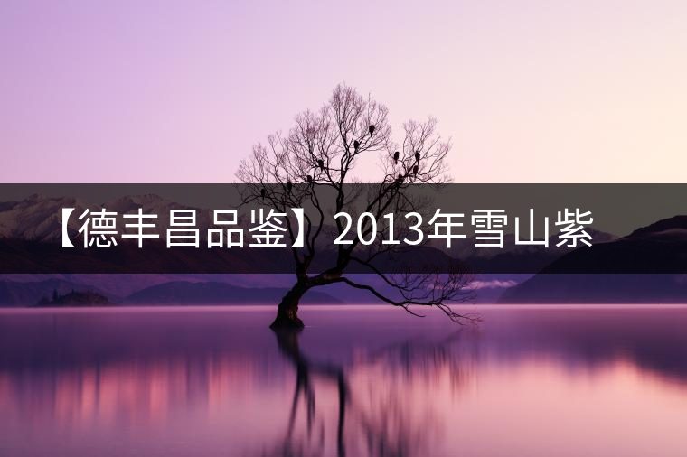 【德豐昌品鑒】2013年雪山紫條
