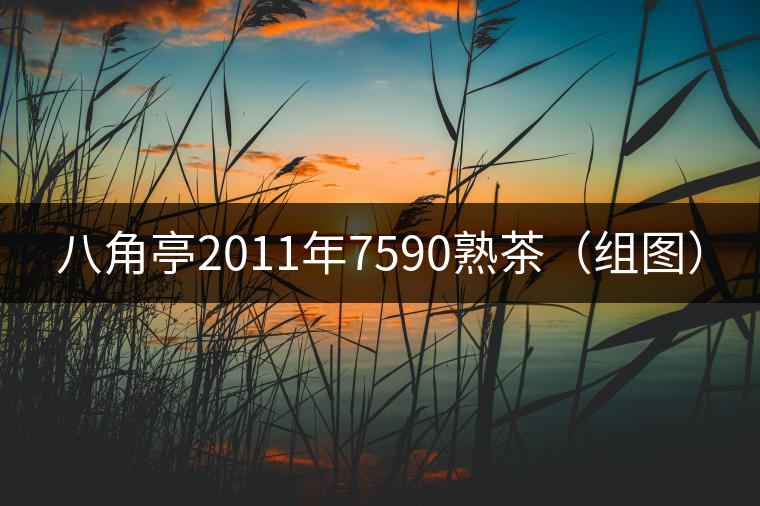 八角亭2011年7590熟茶（組圖）