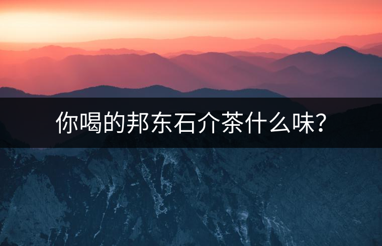 你喝的邦東石介茶什么味？
