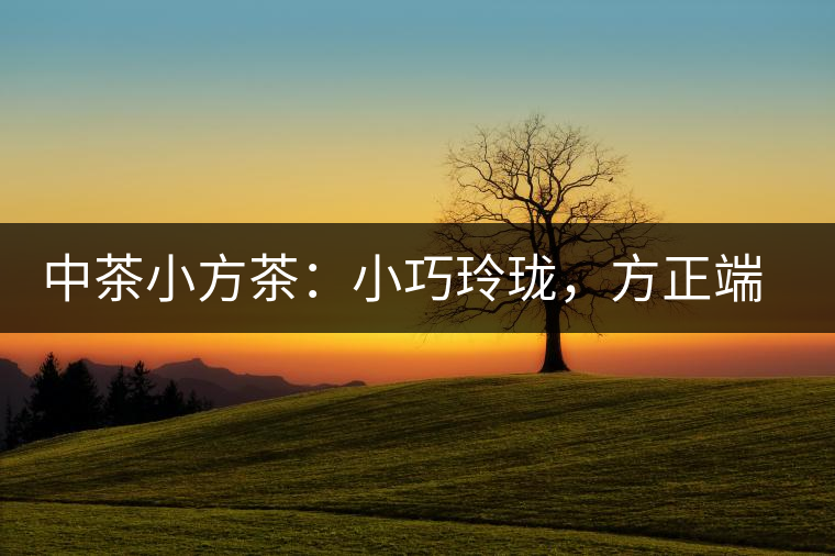 中茶小方茶:小巧玲瓏,方正端莊 中茶小方茶:小巧玲瓏,方正端莊