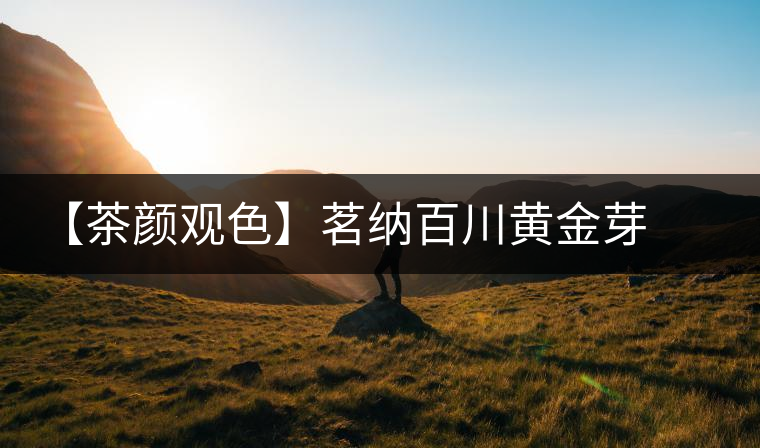 【茶顏觀色】茗納百川黃金芽之美 【茶顏觀色】茗納百川黃金芽之美