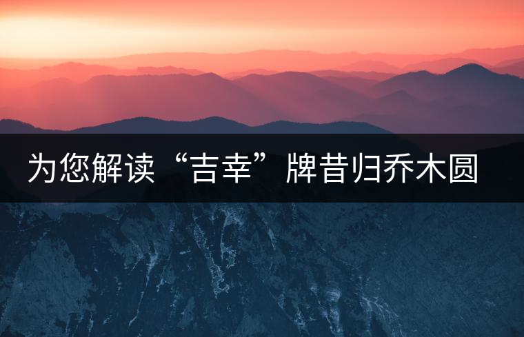 為您解讀“吉幸”牌昔歸喬木圓茶