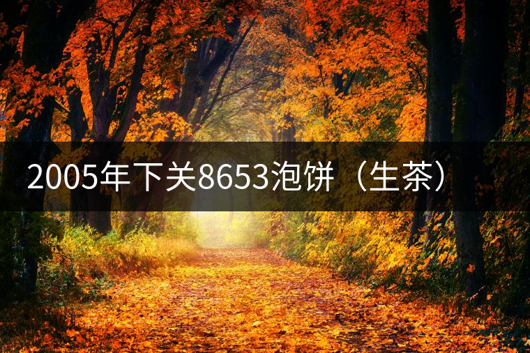 2005年下關(guān)8653泡餅（生茶）品評