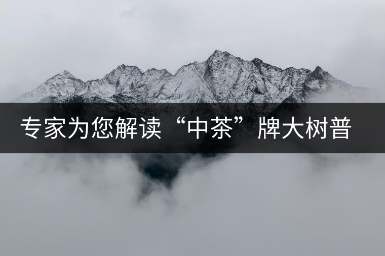 專家為您解讀“中茶”牌大樹普洱—落霞品評 專家為您解讀“中茶”牌大樹普洱—落霞品評