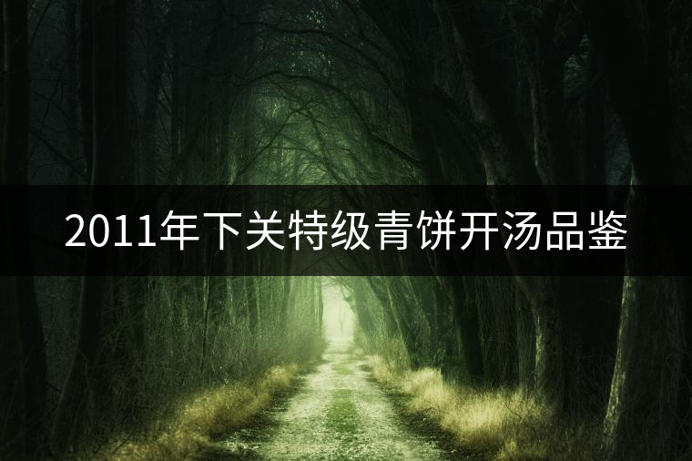 2011年下關特級青餅開湯品鑒 2011年下關特級青餅開湯品鑒