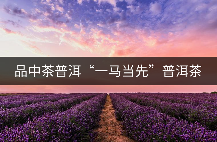 品中茶普洱“一馬當先”普洱茶 品中茶普洱“一馬當先”普洱茶