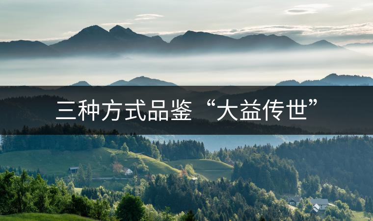 三種方式品鑒“大益?zhèn)魇馈? alt=