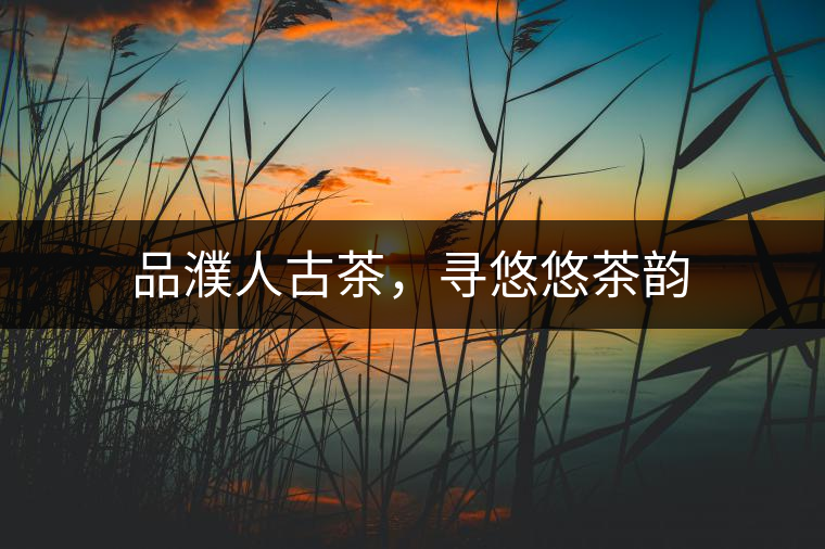 品濮人古茶，尋悠悠茶韻