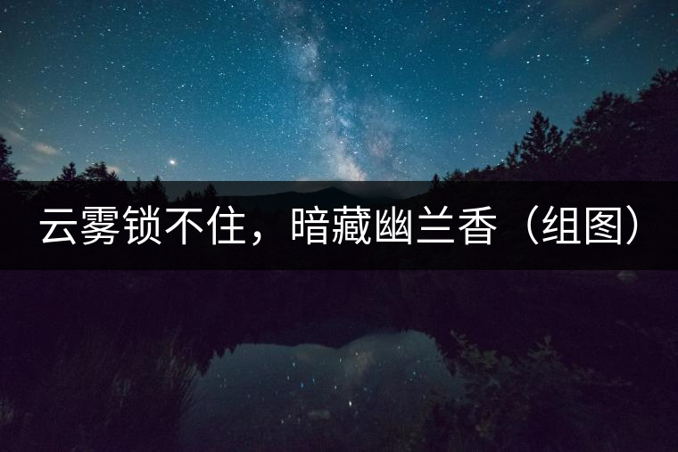 云霧鎖不住,暗藏幽蘭香(組圖) 云霧鎖不住,暗藏幽蘭香(組圖)