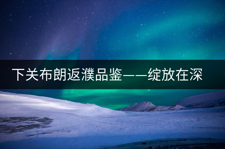 下關布朗返濮品鑒——綻放在深山里的純粹 下關布朗返濮品鑒——綻放在深山里的純粹