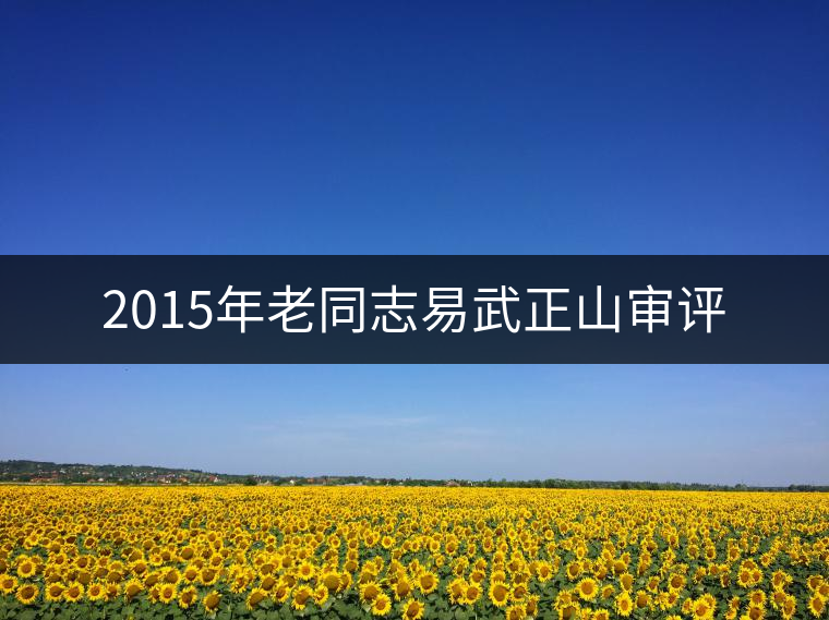2015年老同志易武正山審評 2015年老同志易武正山審評
