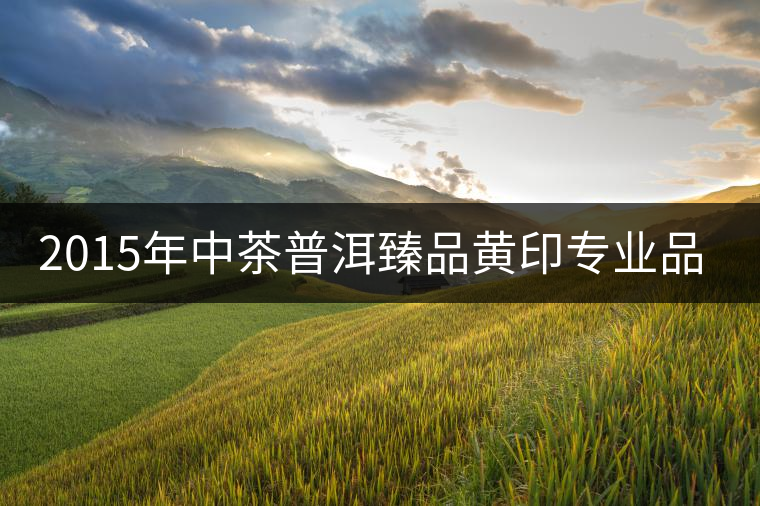 2015年中茶普洱臻品黃印專業品評 2015年中茶普洱臻品黃印專業品評