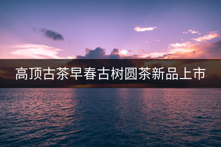 高頂古茶早春古樹圓茶新品上市