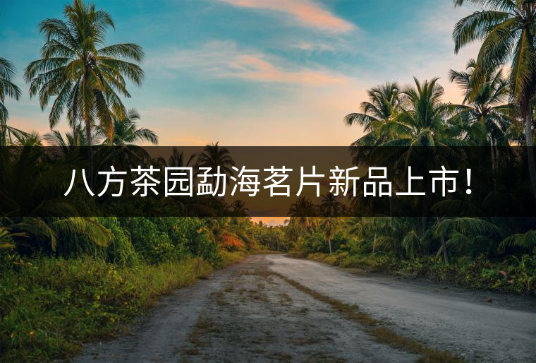 八方茶園勐海茗片新品上市! 八方茶園勐海茗片新品上市!