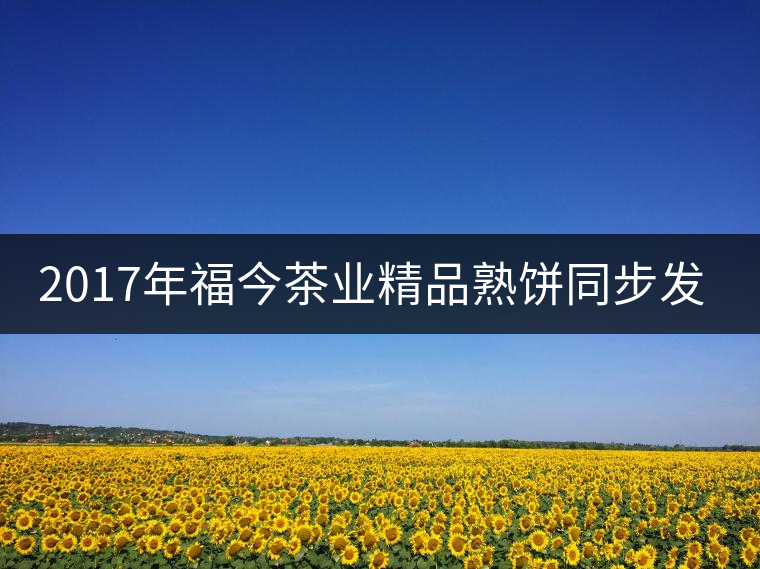 2017年福今茶業精品熟餅同步發售