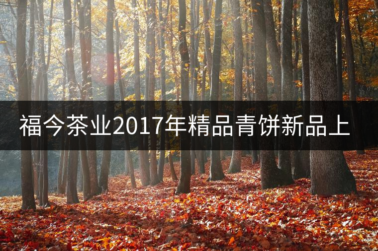 福今茶業2017年精品青餅新品上市 福今茶業2017年精品青餅新品上市