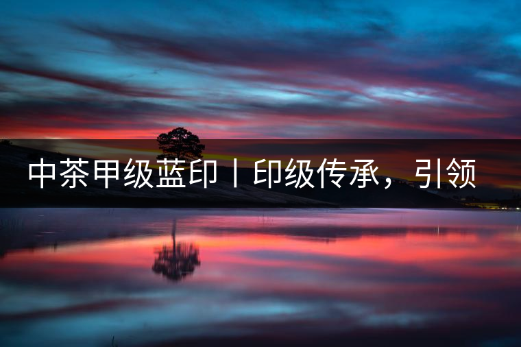 中茶甲級藍印丨印級傳承,引領風韻 中茶甲級藍印丨印級傳承,引領風韻