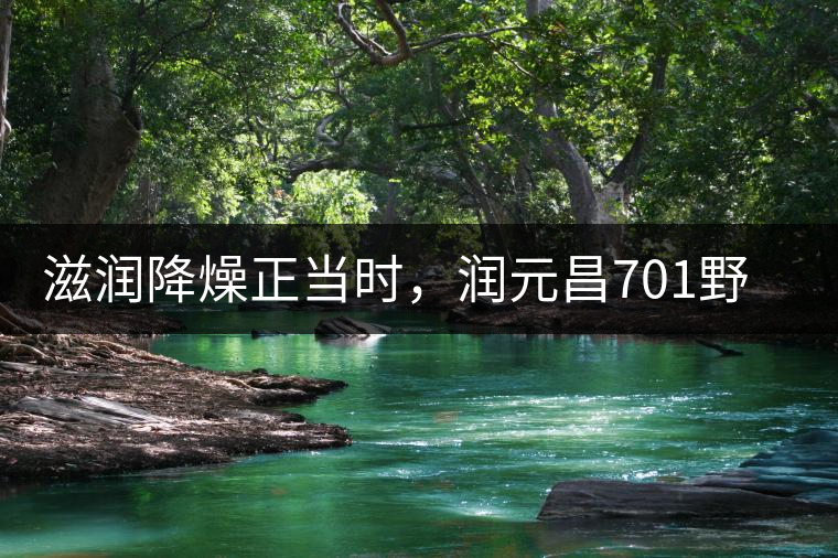 滋潤降燥正當時,潤元昌701野生古樹紅茶驚鴻再現 滋潤降燥正當時,潤元昌701野生古樹紅茶驚鴻再現
