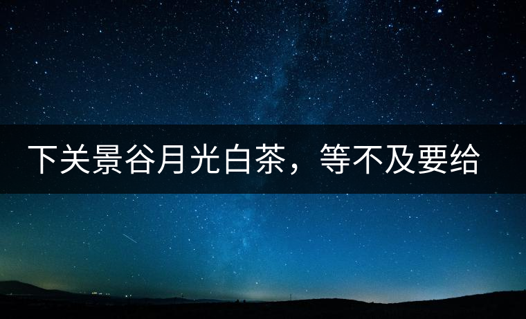 下關景谷月光白茶,等不及要給你的思念 下關景谷月光白茶,等不及要給你的思念