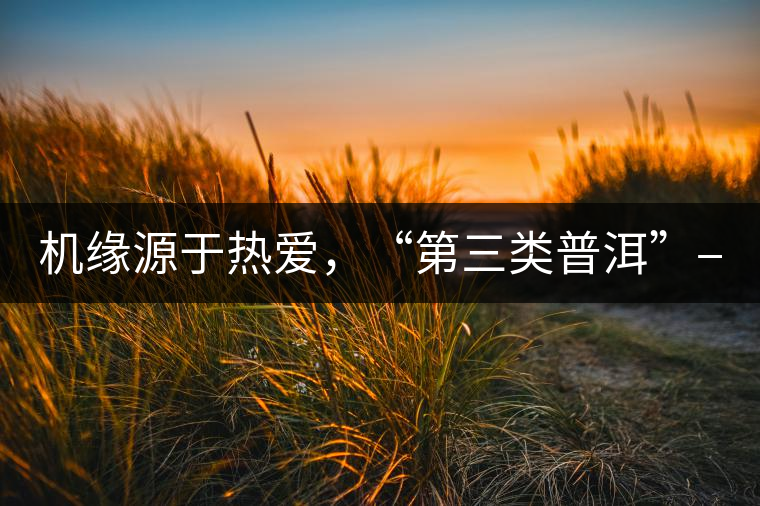 機緣源于熱愛,“第三類普洱”——“散壓茶TM”的誕生。 機緣源于熱愛,“第三類普洱”——“散壓茶TM”的誕生。
