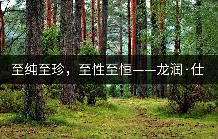 至純至珍，至性至恒——龍潤·仕通茶新上市！