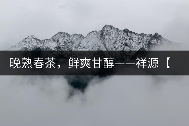 晚熟春茶，鮮爽甘醇——祥源【政和大白】清鮮上市