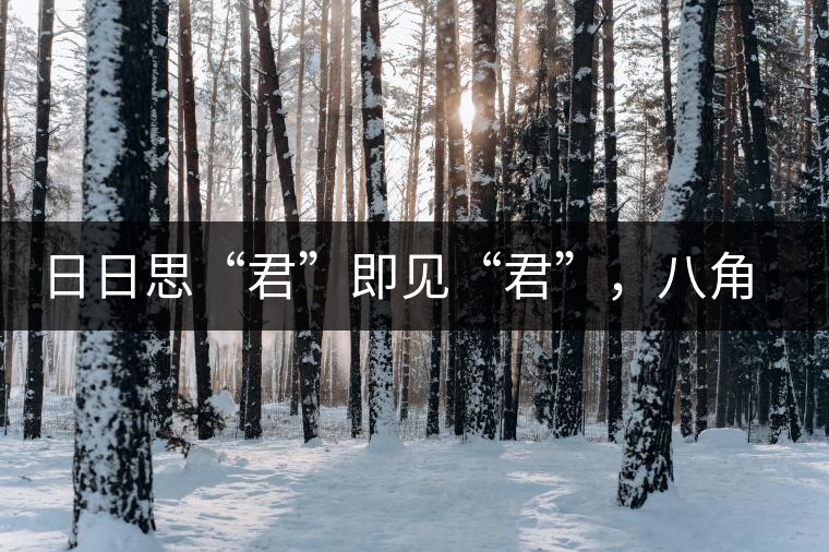 日日思“君”即見“君”,八角亭竹筒茶君子即將上市 日日思“君”即見“君”,八角亭竹筒茶君子即將上市
