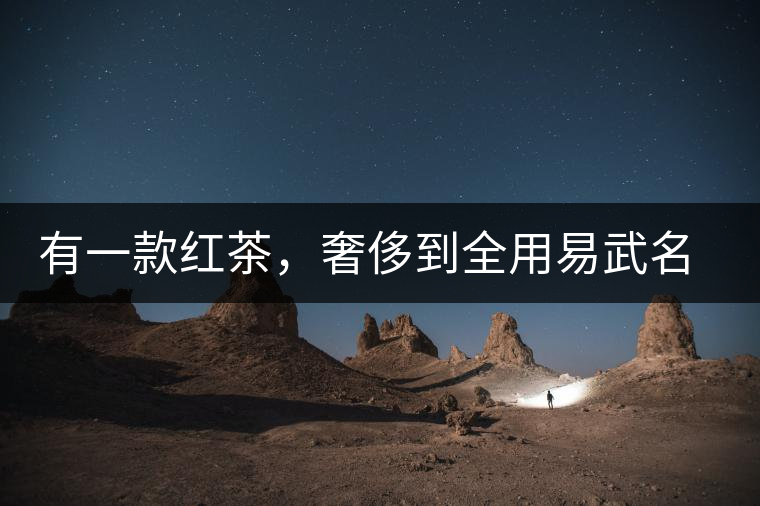 有一款紅茶，奢侈到全用易武名寨古樹茶發酵！