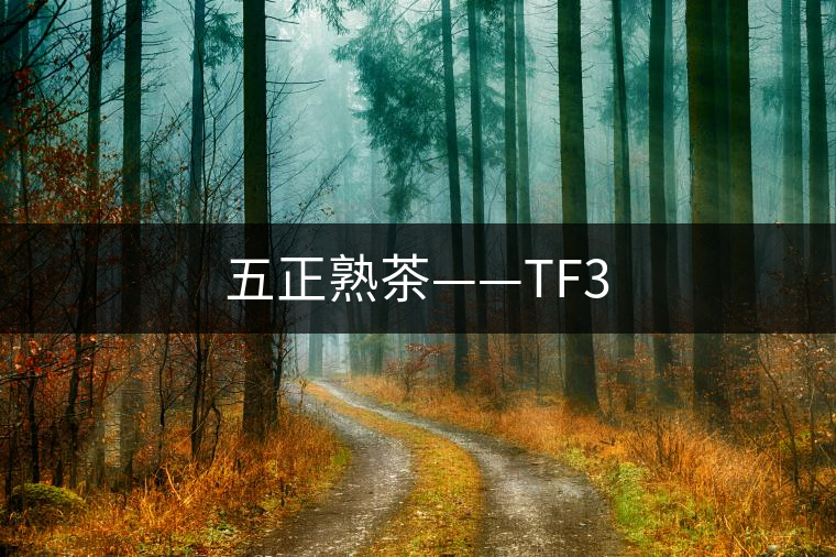 五正熟茶——TF3 五正熟茶——TF3