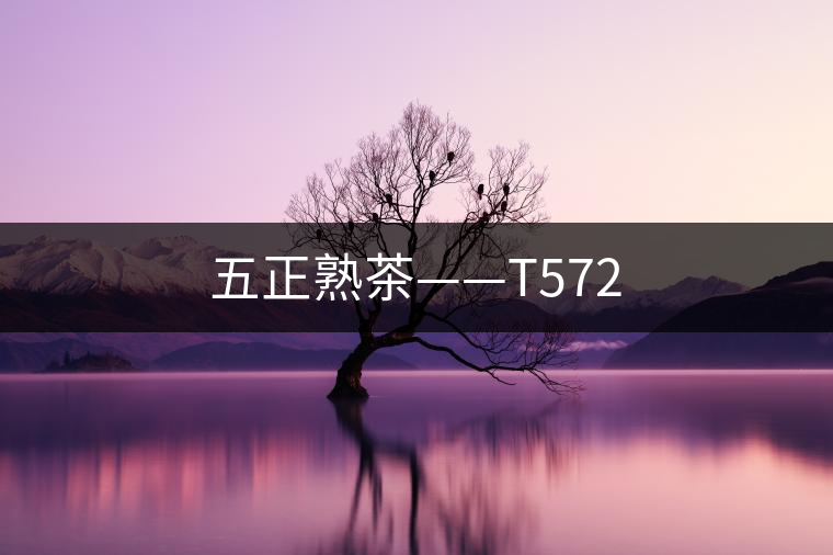 五正熟茶——T572