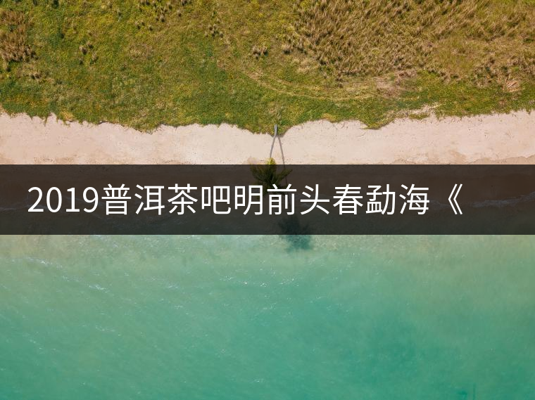 2019普洱茶吧明前頭春勐海《月光白》白茶優惠訂購 2019普洱茶吧明前頭春勐海《月光白》白茶優惠訂購