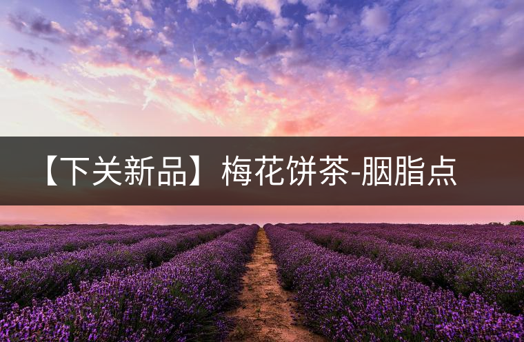【下關(guān)新品】梅花餅茶-胭脂點(diǎn)春暗香來(lái)