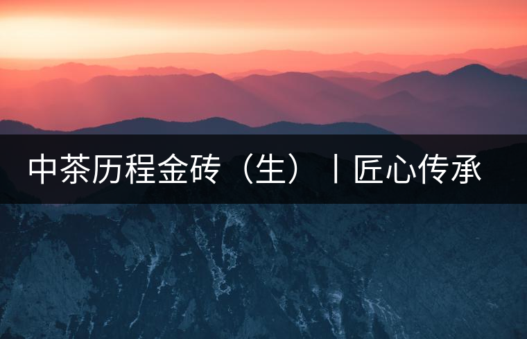 中茶歷程金磚(生)丨匠心傳承,精品迭出 中茶歷程金磚(生)丨匠心傳承,精品迭出