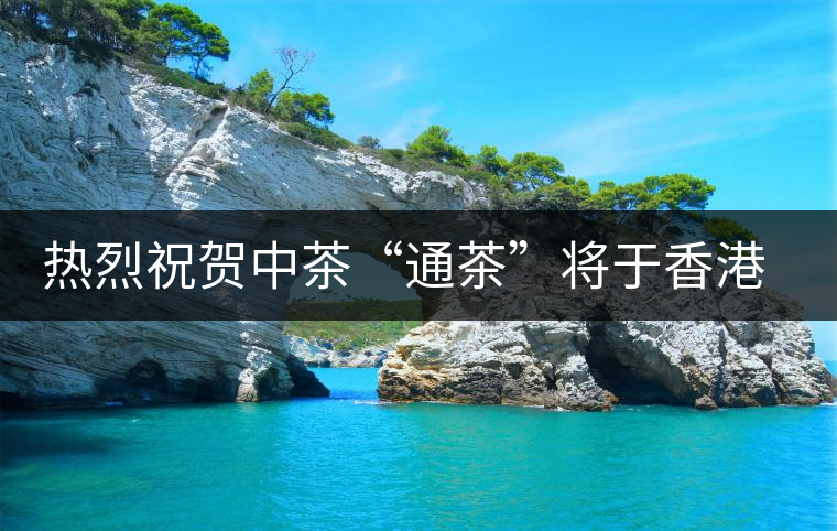 熱烈祝賀中茶“通茶”將于香港首發上市 熱烈祝賀中茶“通茶”將于香港首發上市