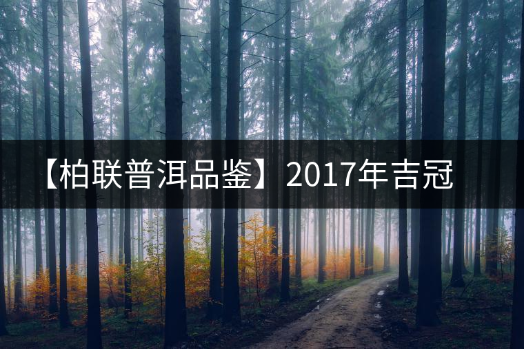 【柏聯普洱品鑒】2017年吉冠鳳羽