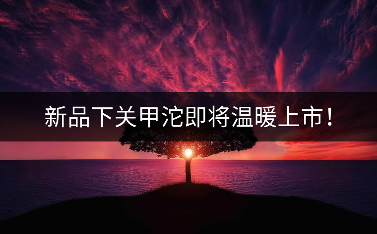 新品下關甲沱即將溫暖上市! 新品下關甲沱即將溫暖上市!