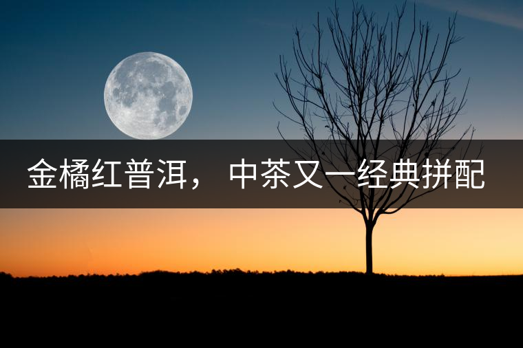 金橘紅普洱, 中茶又一經(jīng)典拼配力作,值得期待! 金橘紅普洱, 中茶又一經(jīng)典拼配力作,值得期待!
