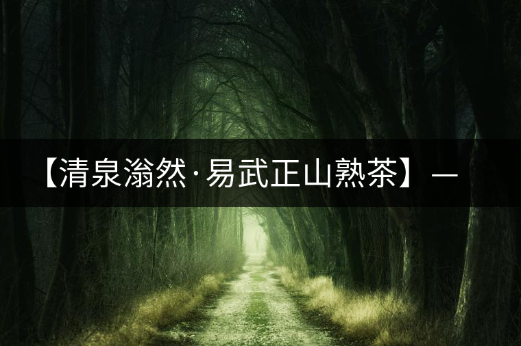 【清泉滃然·易武正山熟茶】——熨帖冬季的寒冷,來的正是時候! 【清泉滃然·易武正山熟茶】——熨帖冬季的寒冷,來的正是時候!