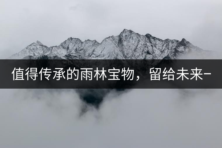 值得傳承的雨林寶物，留給未來一點“回甘”！