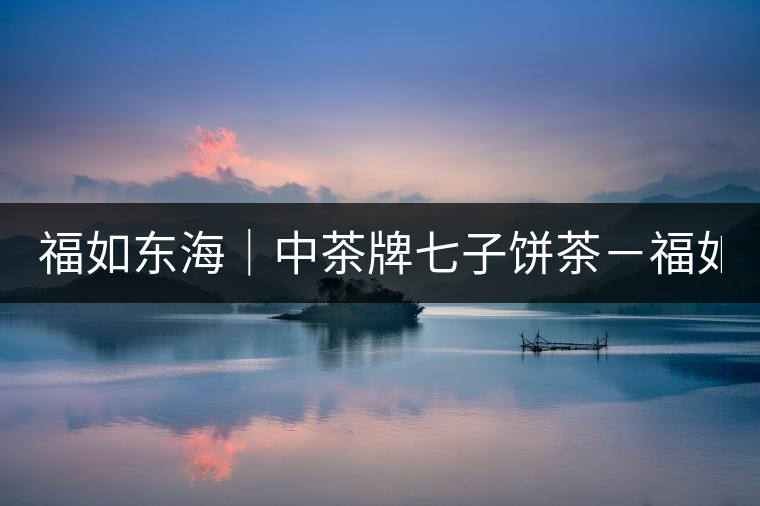 福如東海｜中茶牌七子餅茶－福如東海普洱茶 （生茶）